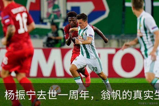 杨振宁去世一周年，翁帆的真实生活曝光，引发热议